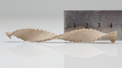 Stampati in 3D per oggetti di legno che si auto-modellano