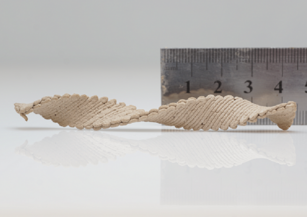 Stampati in 3D per oggetti di legno che si auto-modellano